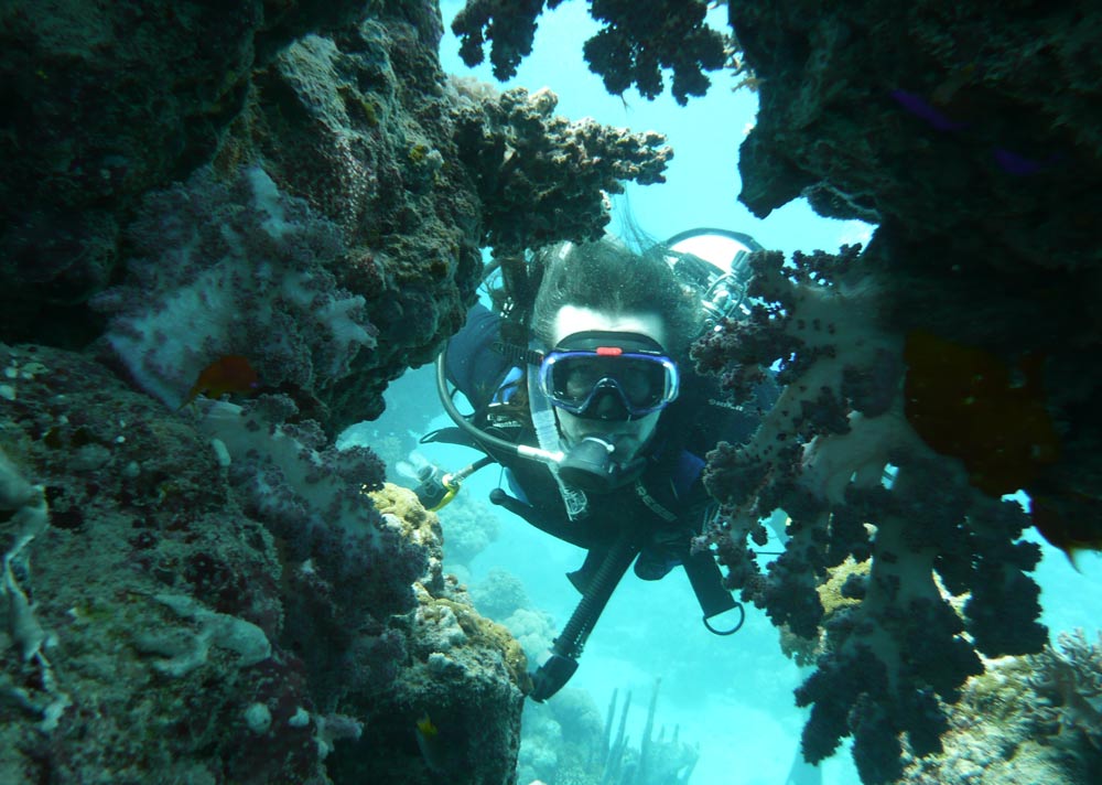 Tauchen im Roten Meer